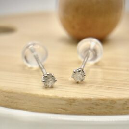 Stud Earrings Wg