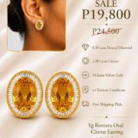 Uploaded item image