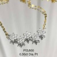 Uploaded item image