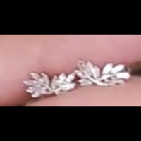 Uploaded item image